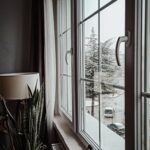 A serene indoor setting with plants by a window, overlooking a snowy outdoor scene.